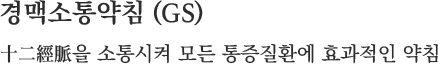 경맥소통약침 (GS) 十二經脈을 소통시켜 모든 통증질환에 효과적인 약침